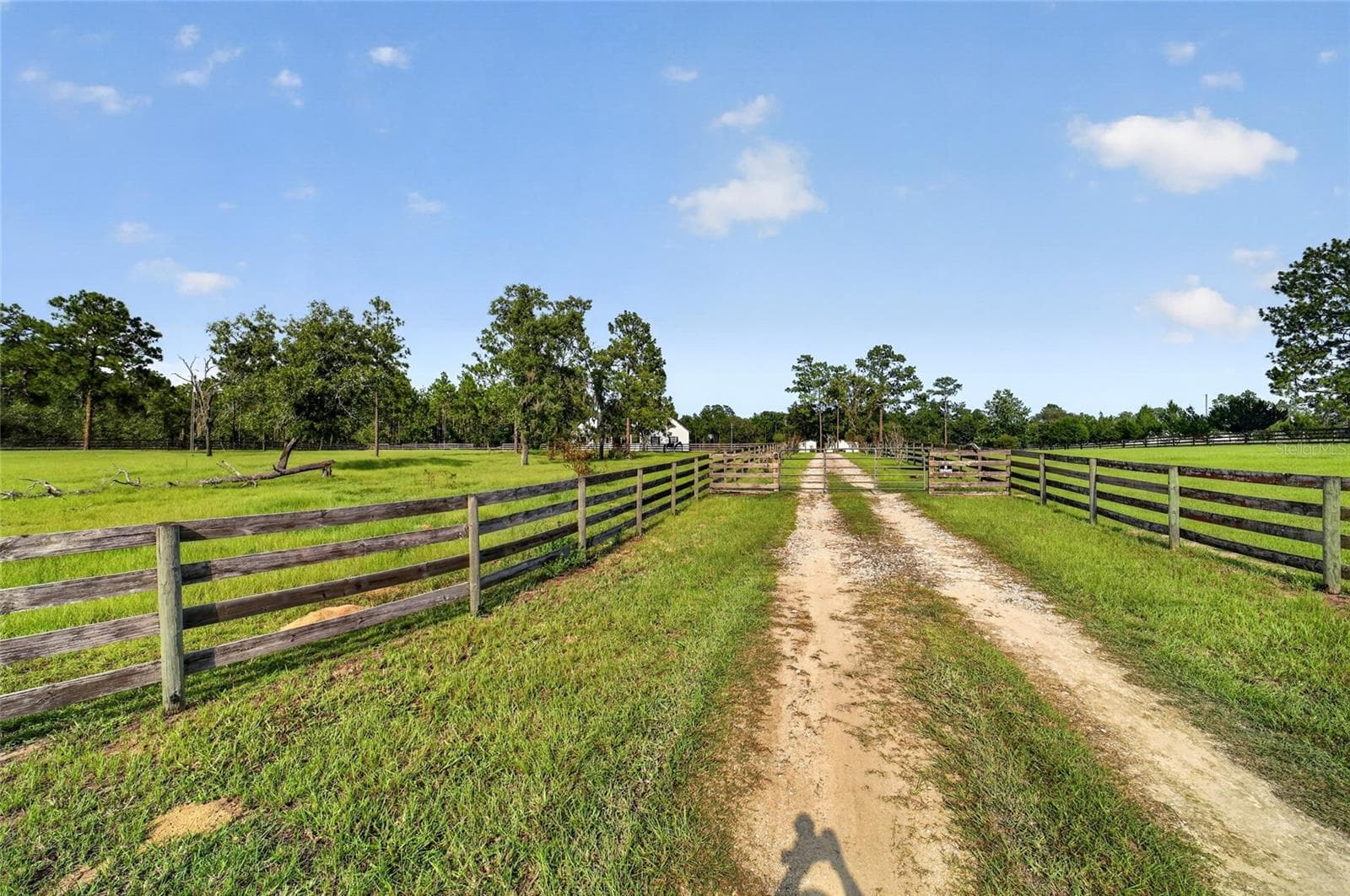 Farm at 6351 SE 140 AVE, MORRISTON, photo 73 of 83