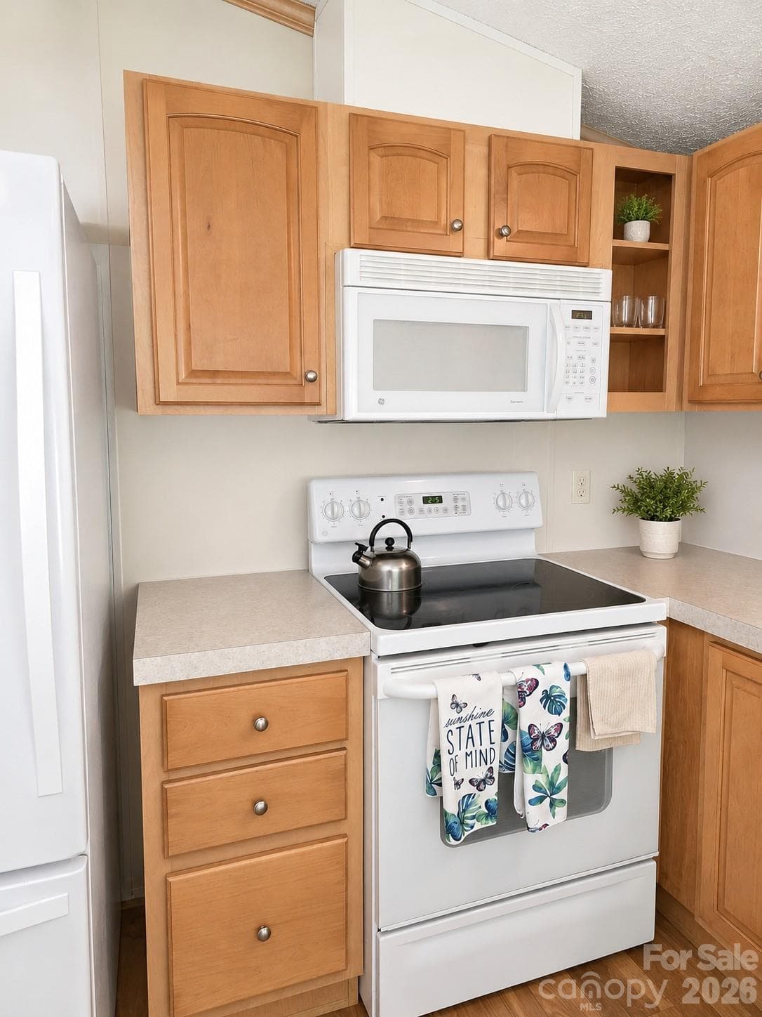 Single Family Residence at 192 Lady Bug Lane, Penrose, photo 4 of 17