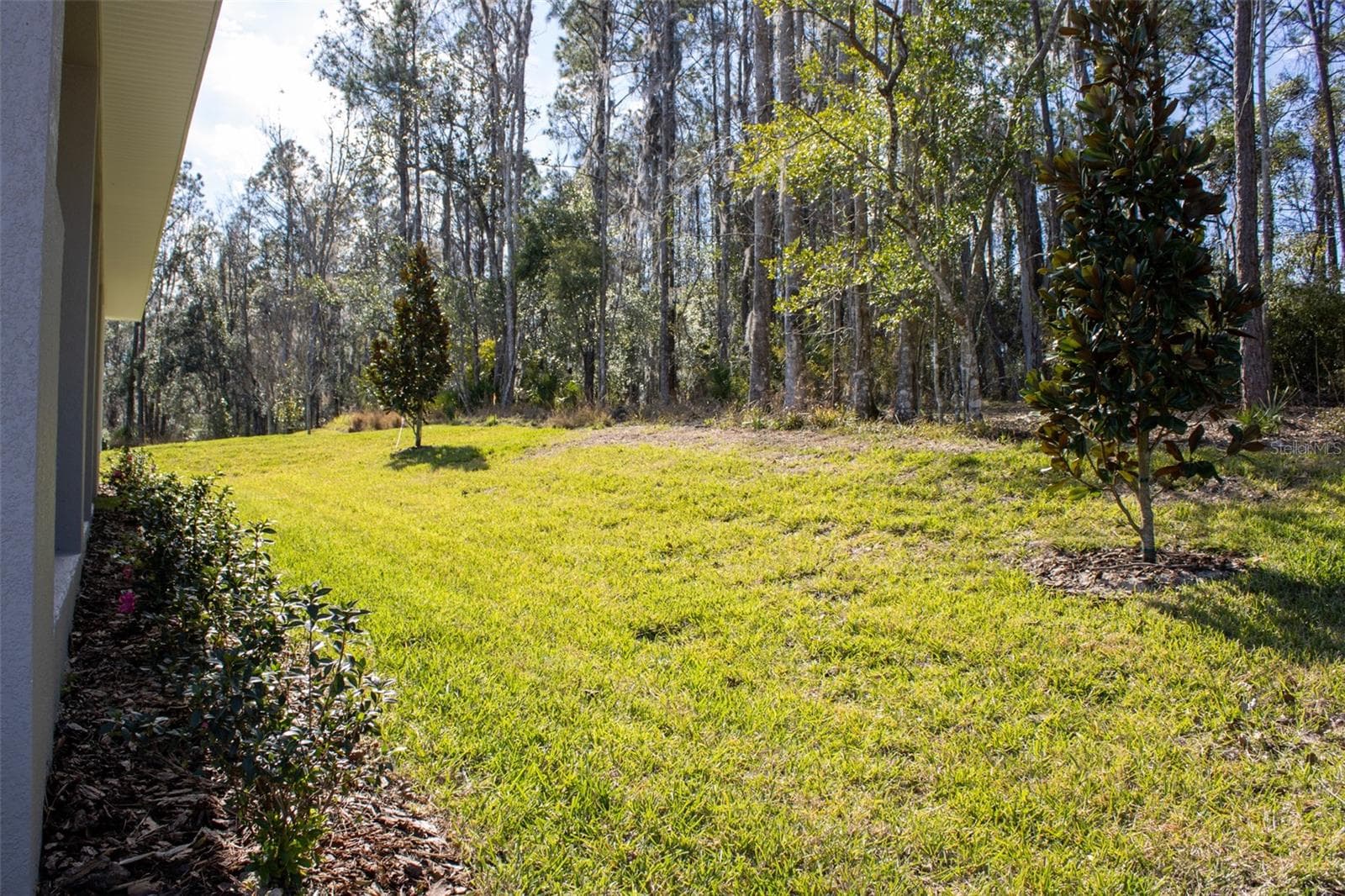 Single Family Residence at 3970 SOUTHERN VALLEY LOOP, BROOKSVILLE, photo 48 of 54
