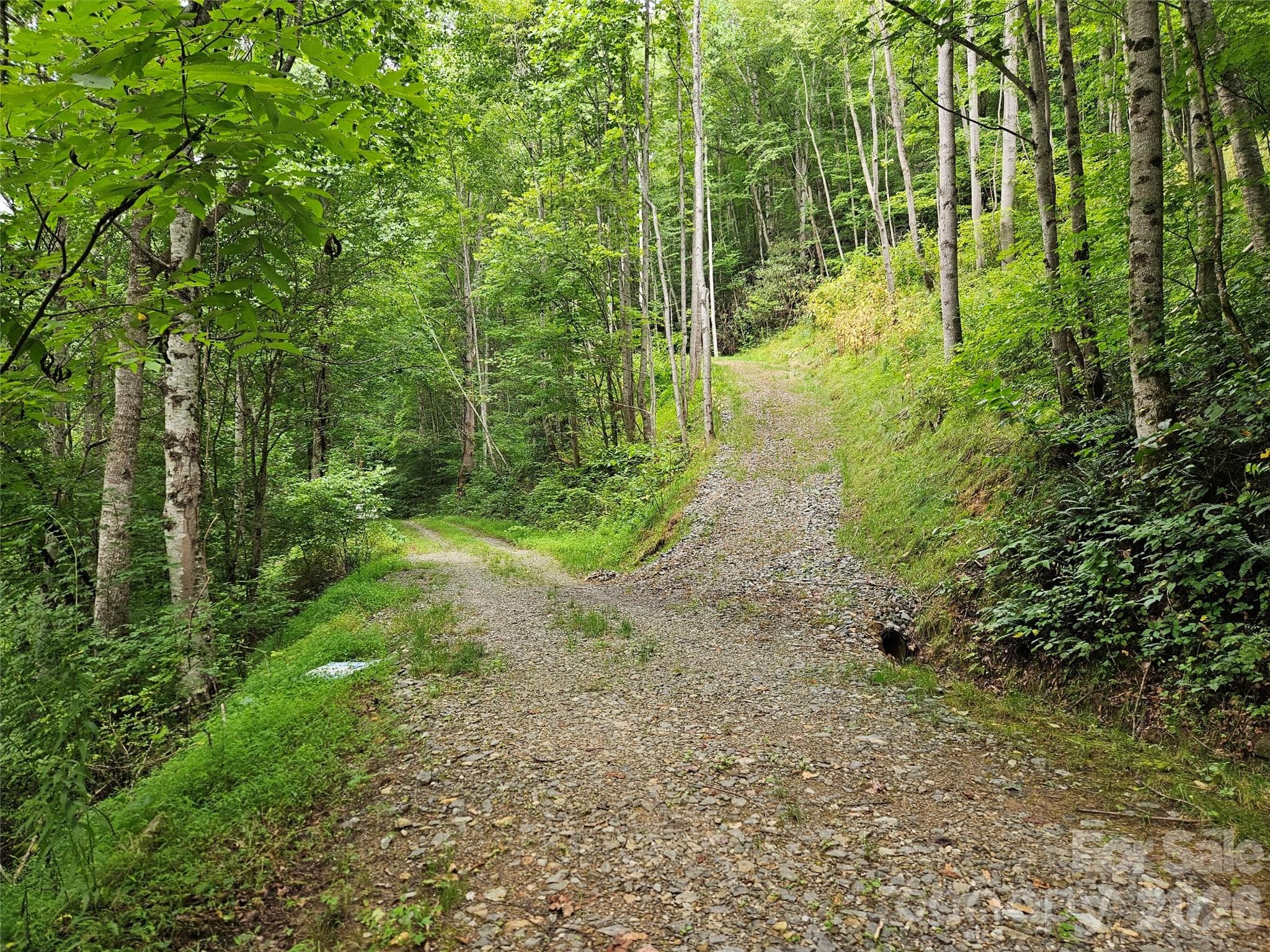 Lot at 00 Wayward Cove, Clyde, photo 3 of 15