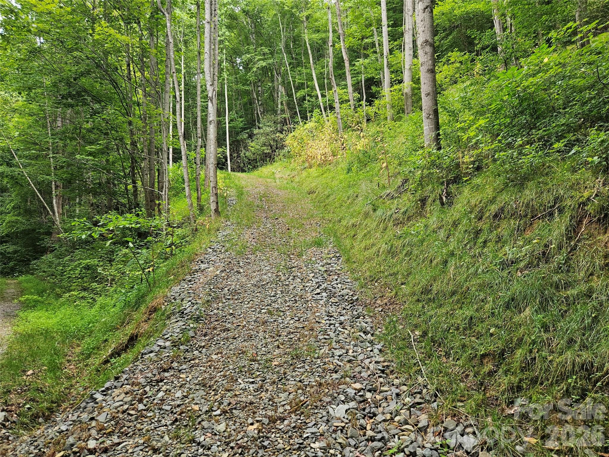 Lot at 00 Wayward Cove, Clyde, photo 4 of 15