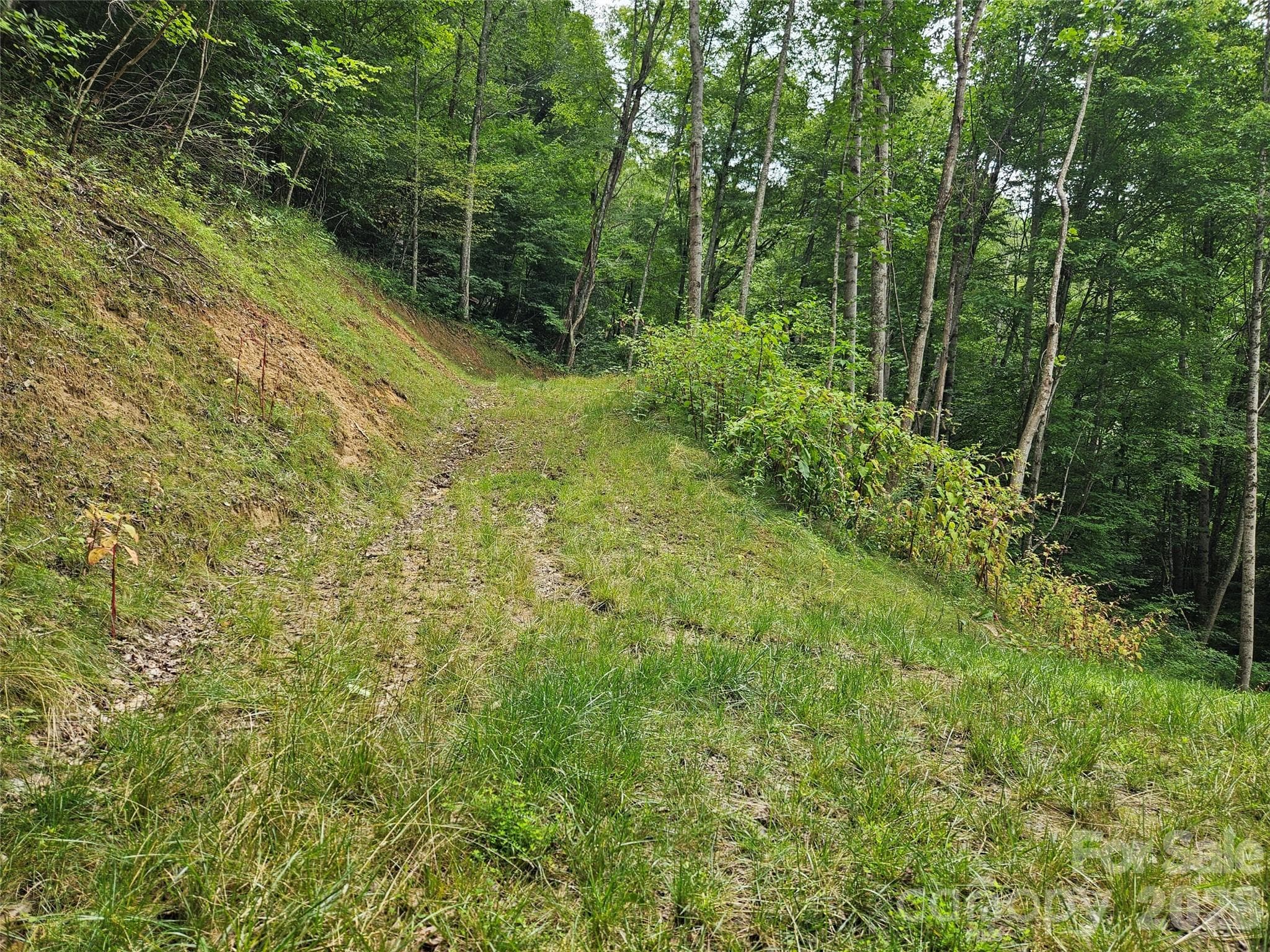Lot at 00 Wayward Cove, Clyde, photo 5 of 15