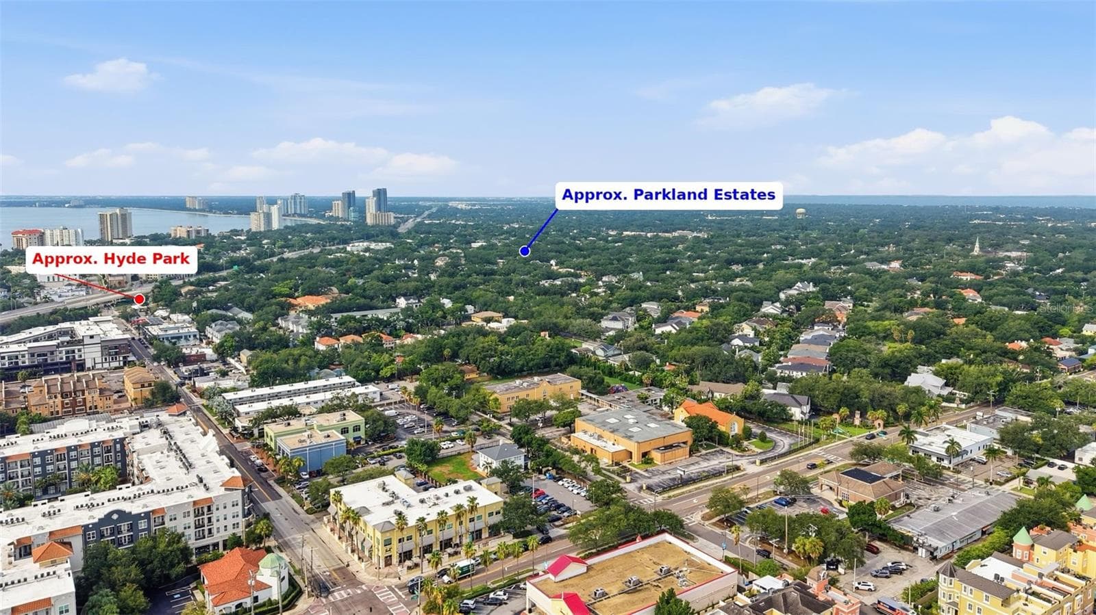 Bayshore Blvd in the Background - 3123 W OAKLYN AVE, TAMPA