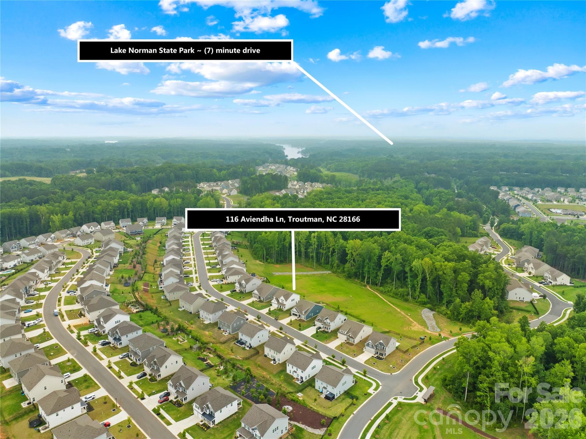 wooded views - Troutman