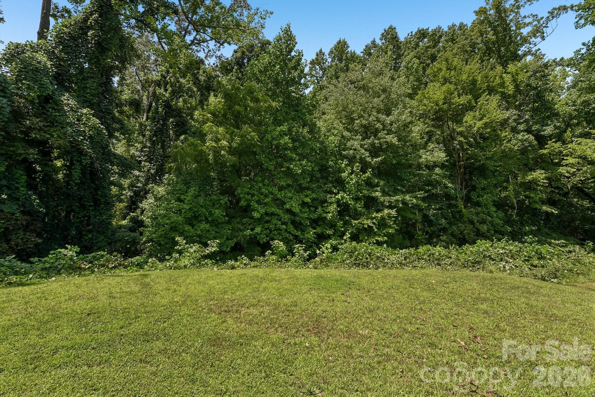 Single Family Residence at 6931 Ludell Lane, Charlotte, photo 37 of 37