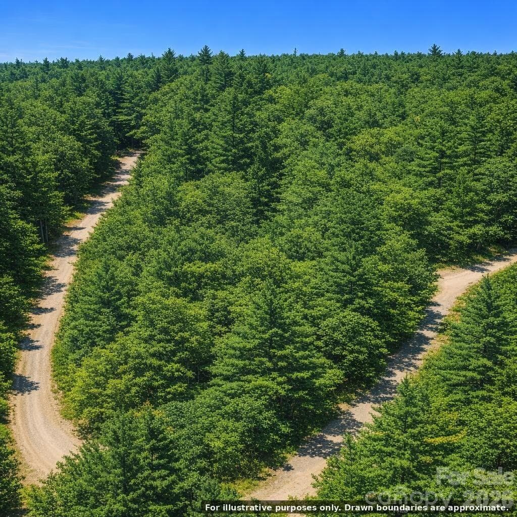 Lot 124 Trellis Drive