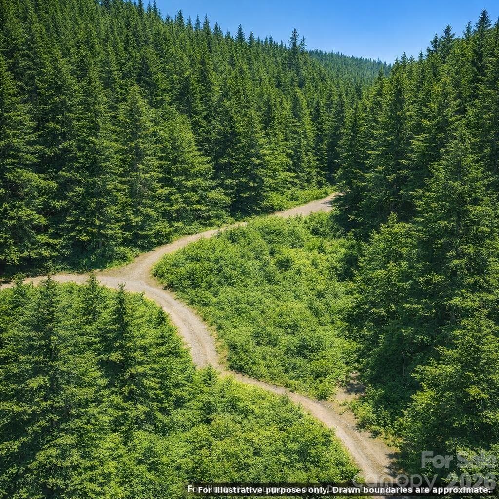 Lot at Lot 124 Trellis Drive, Nebo, photo 10 of 11
