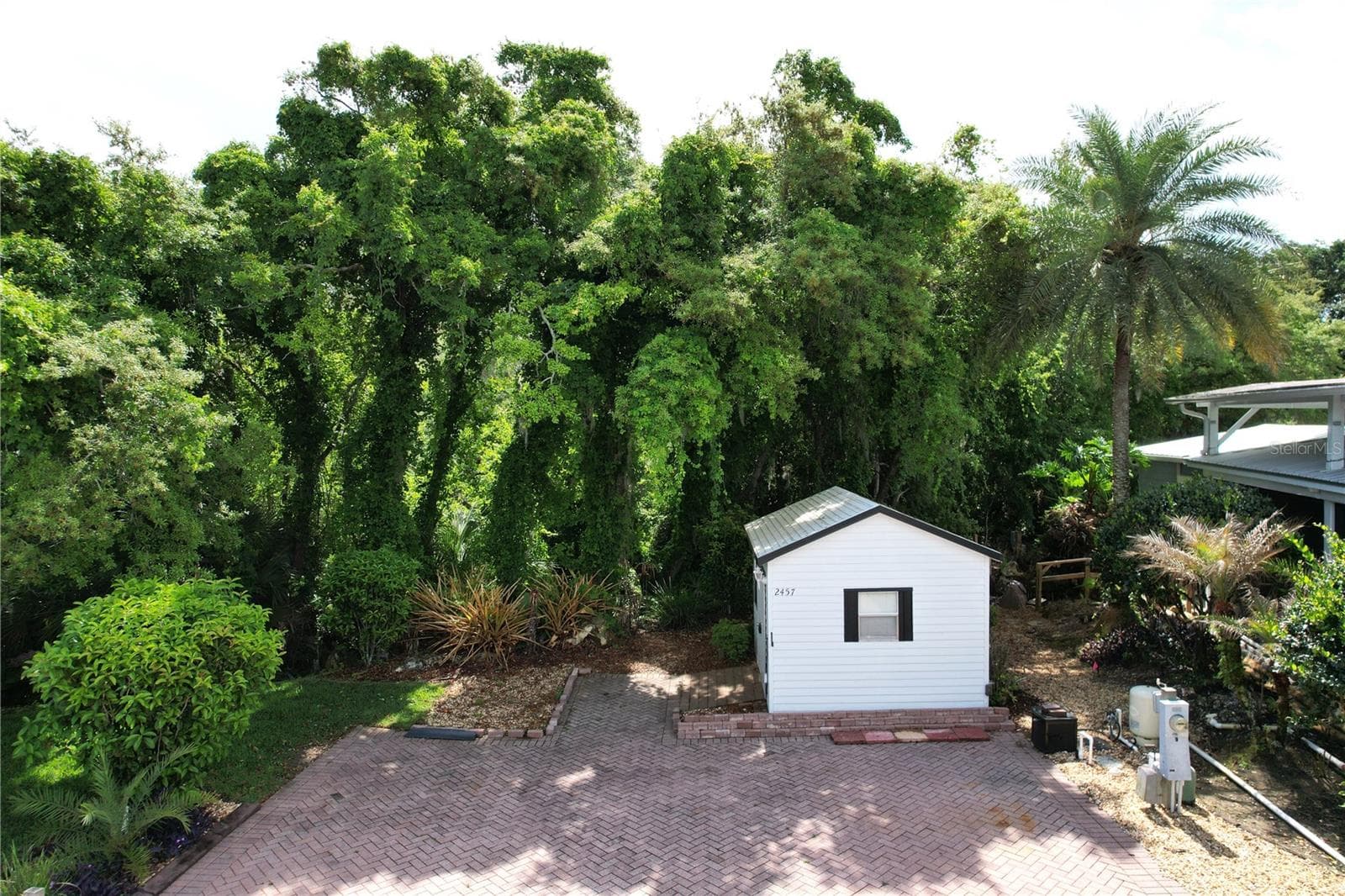 Nicely wooded private back yard! - 2457 ST GEORGE DR, DAVENPORT