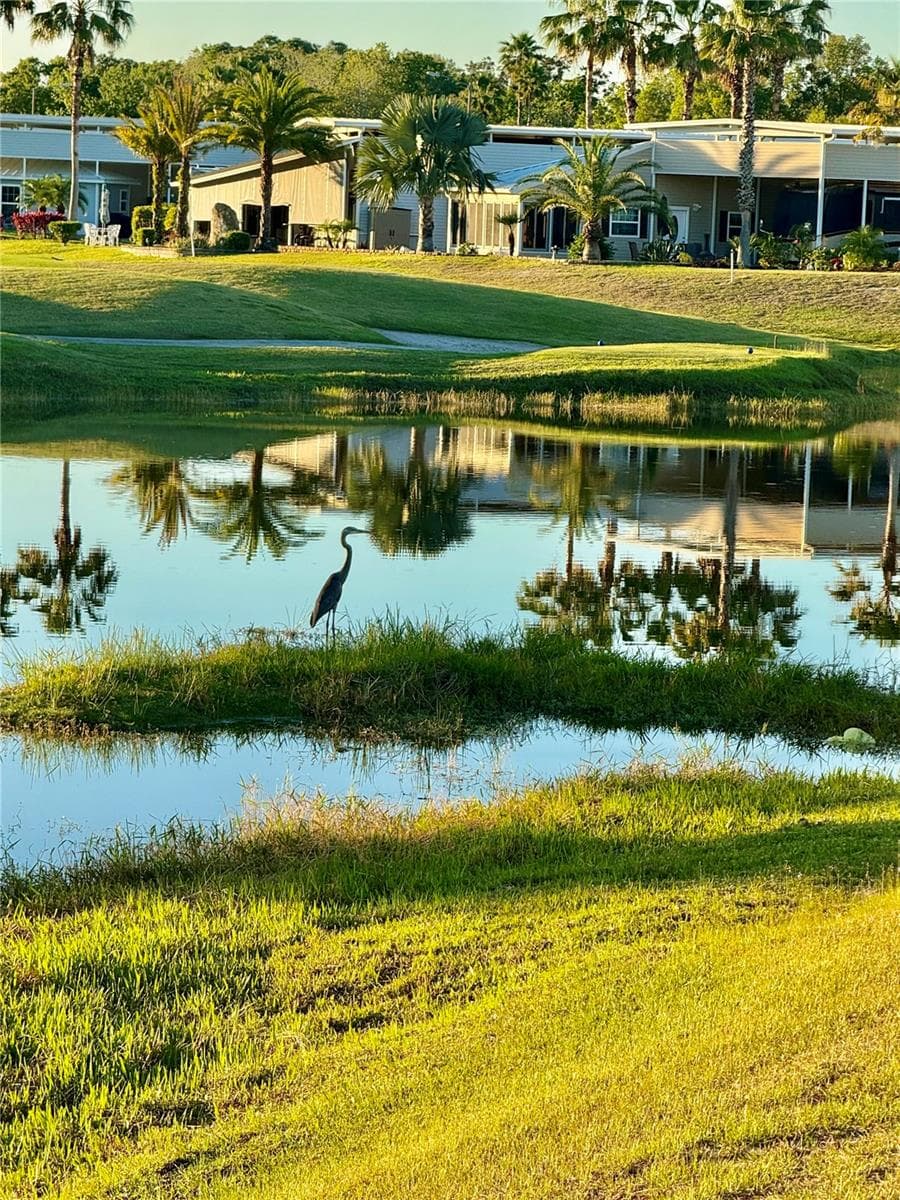 Lots of wildlife on the ponds - 2457 ST GEORGE DR, DAVENPORT