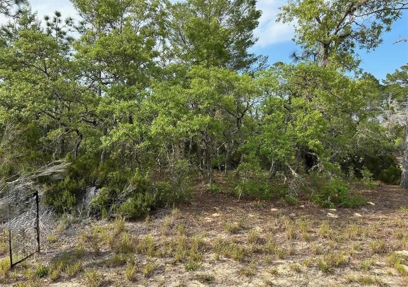 Land at 2923 W PINTADO DR, CITRUS SPRINGS, photo 4 of 6