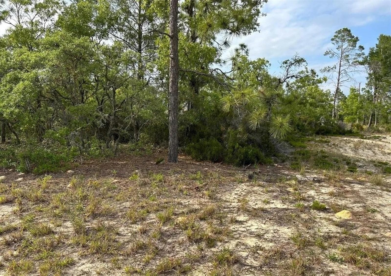 Land at 2923 W PINTADO DR, CITRUS SPRINGS, photo 5 of 6