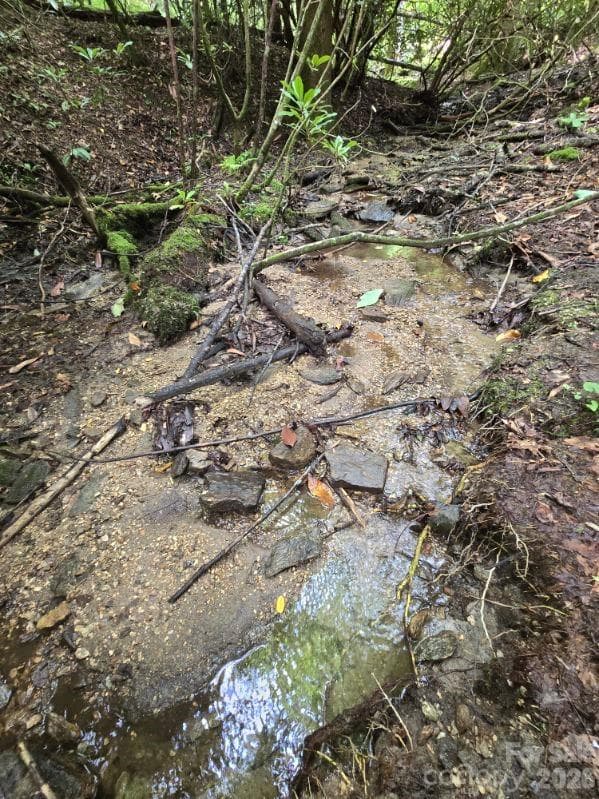 Small Spring Run just below the house across the driveway. - 275 Hubbard Hollow Road, Rosman