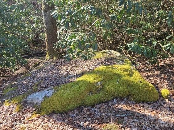 Just one of a few really Kool Rocks and Kool Rock Formations found by the creek and throughout the property! - 275 Hubbard Hollow Road, Rosman