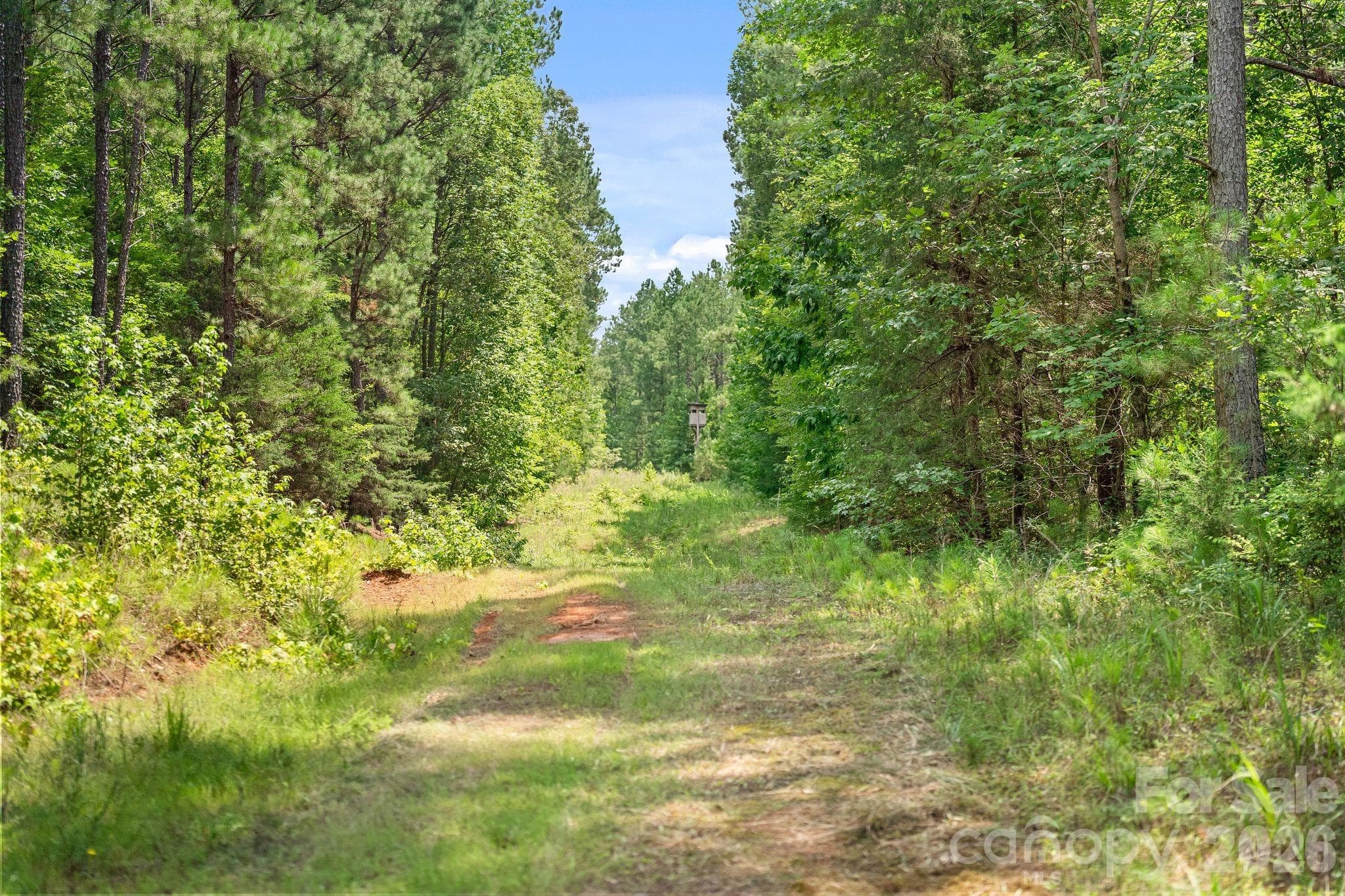 Acreage at 0000 Hwy 72 Highway, Carlisle, photo 13 of 45