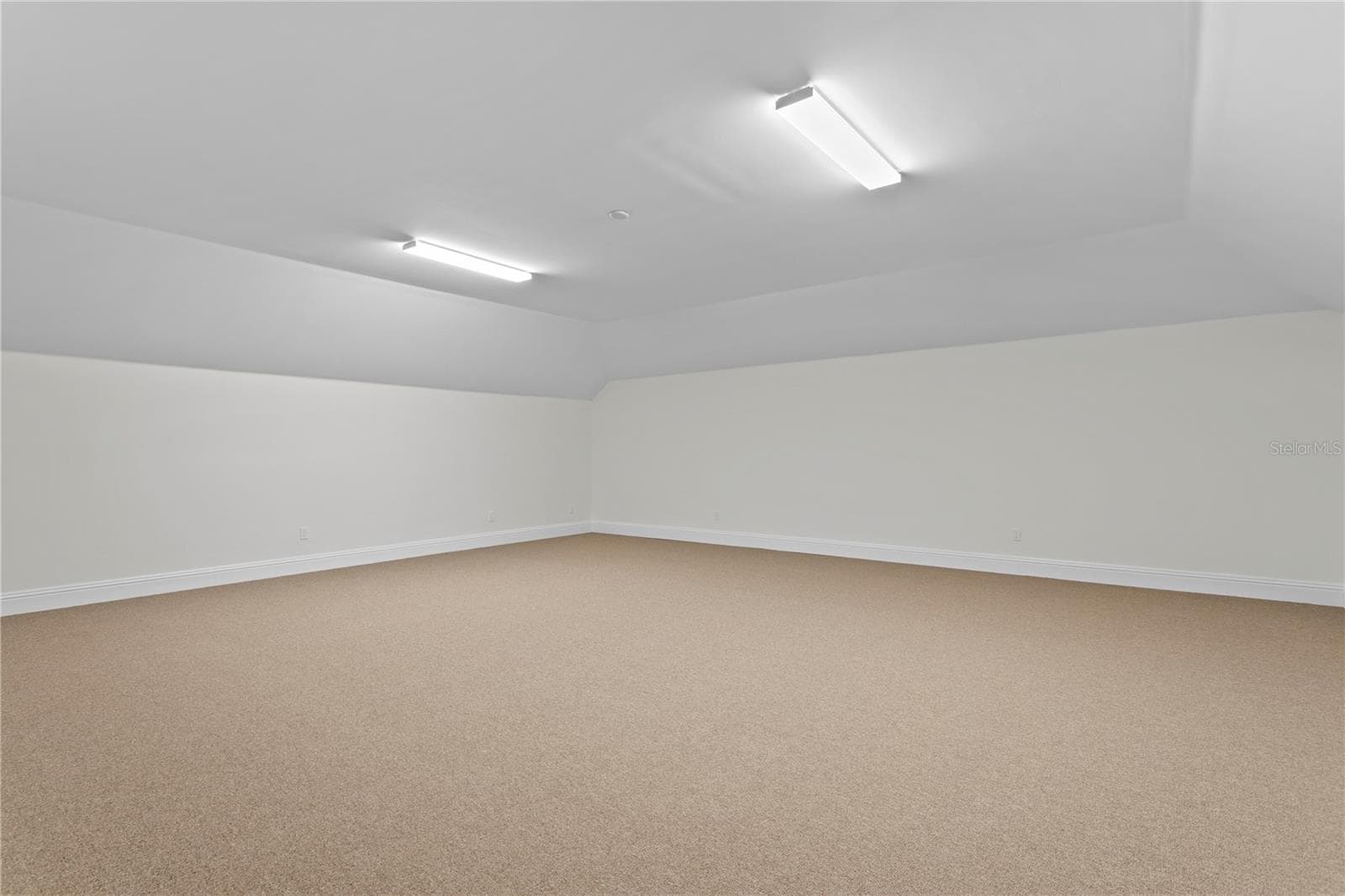800 Sq Ft MOL Bonus room - 3006 S EMERSON ST, TAMPA
