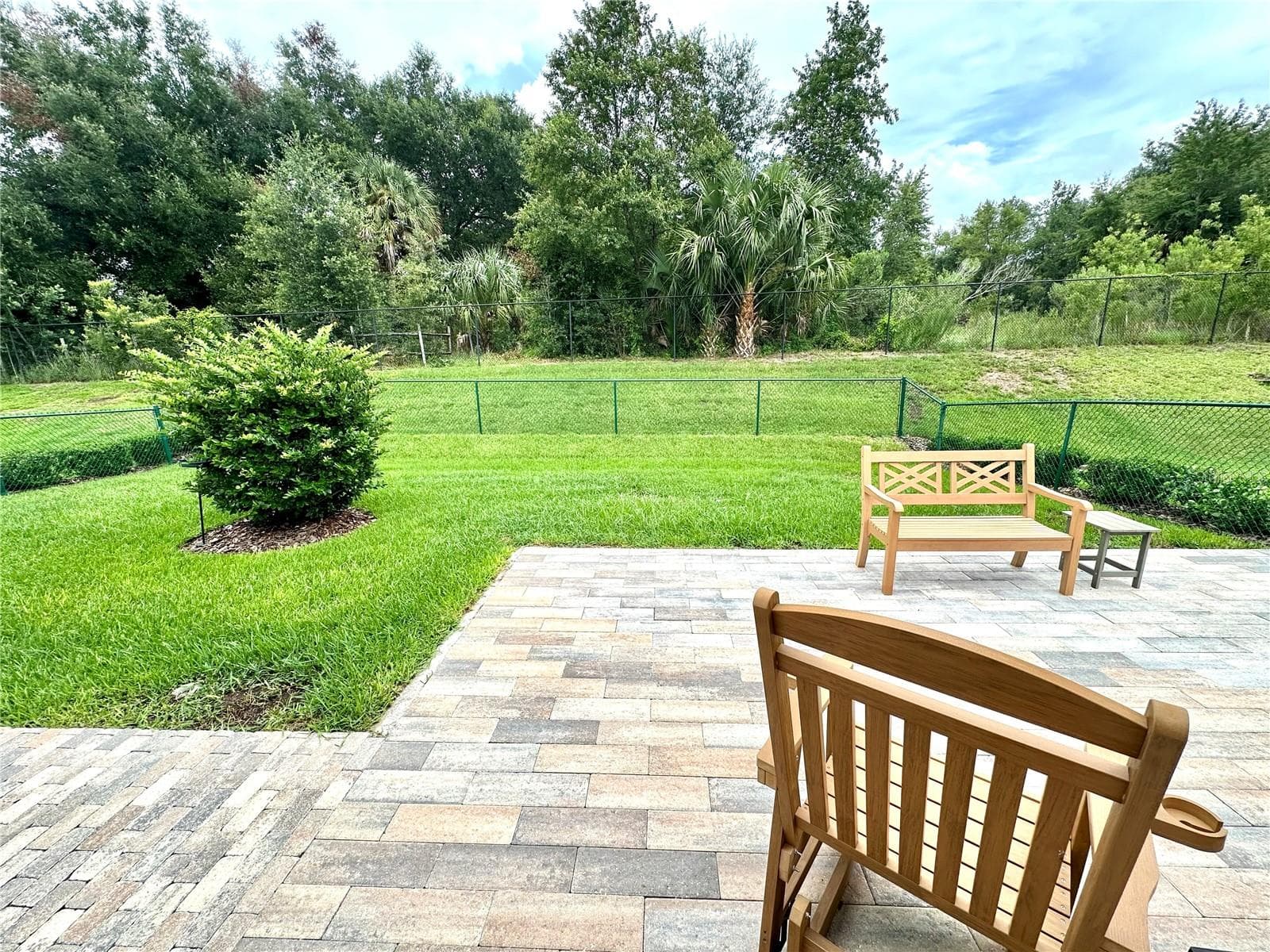 Back Exposure - 17145 SE 113TH AVE, SUMMERFIELD