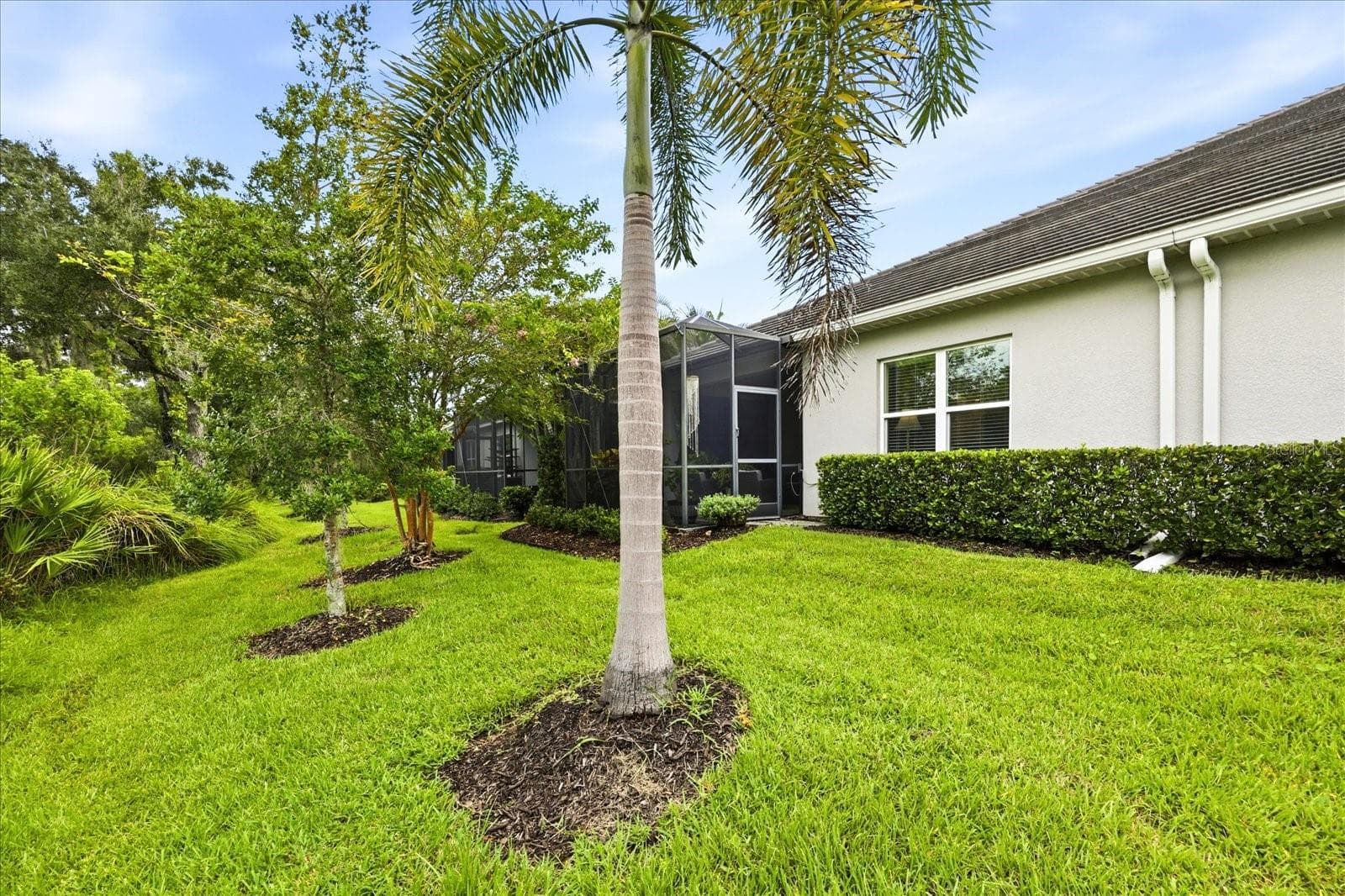 MATURE LANDSCAPE - 3036 SKY BLUE CV, LAKEWOOD RANCH