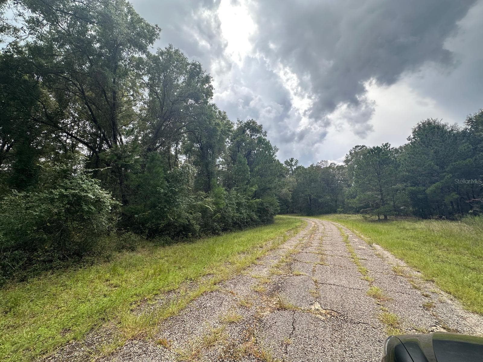 Land at 1574 E IVYDALE DR, CITRUS SPRINGS, photo 2 of 2