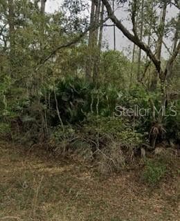 INTERLACHEN LAKES ESTATES