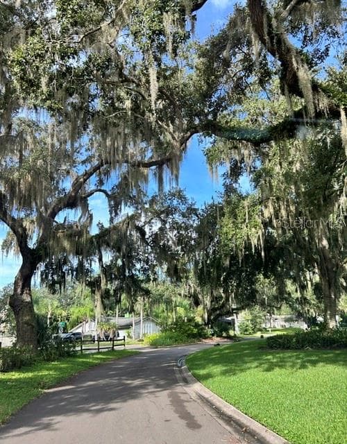 Mature Oak tree canopy in the neighborhood - 1592 SKYLINE DR, KISSIMMEE