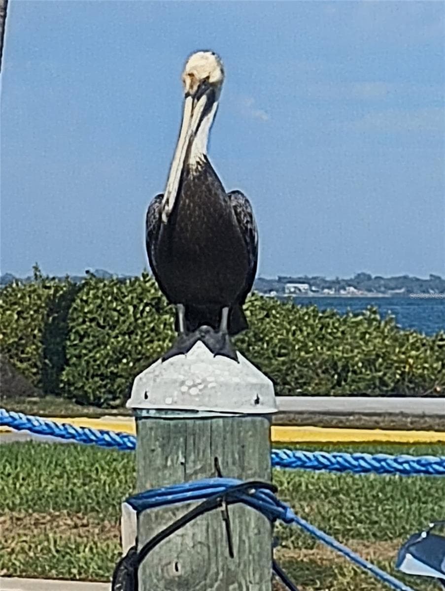 Locals - 2600 HARBOURSIDE DR #P-05, LONGBOAT KEY