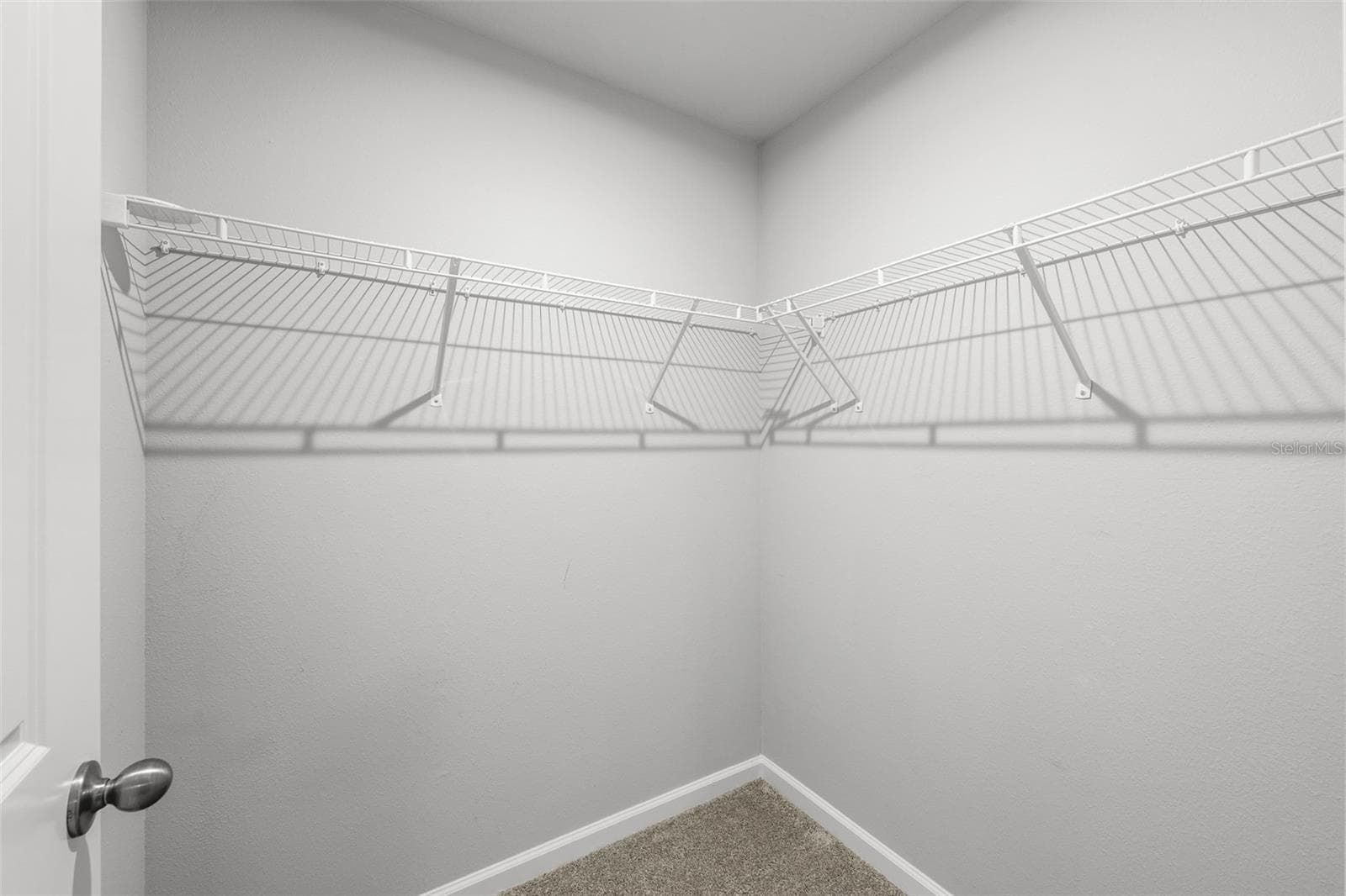 Townhouse at 4366 CLOUD HOPPER WAY, LUTZ, photo 19 of 29
