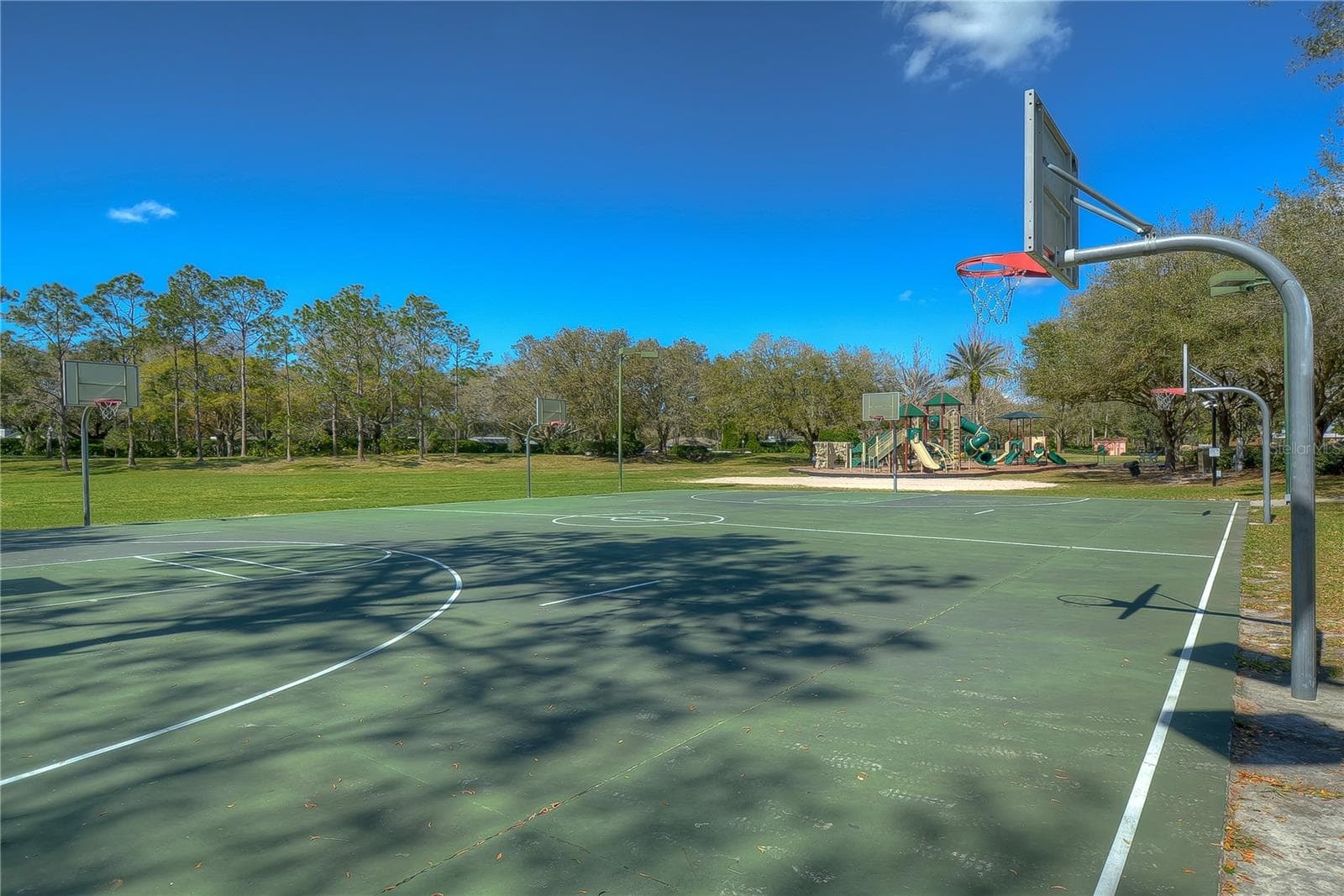 Community amenities include tennis courts, basketball court and a fitness center. - 5602 ROCKFIELD LOOP, VALRICO