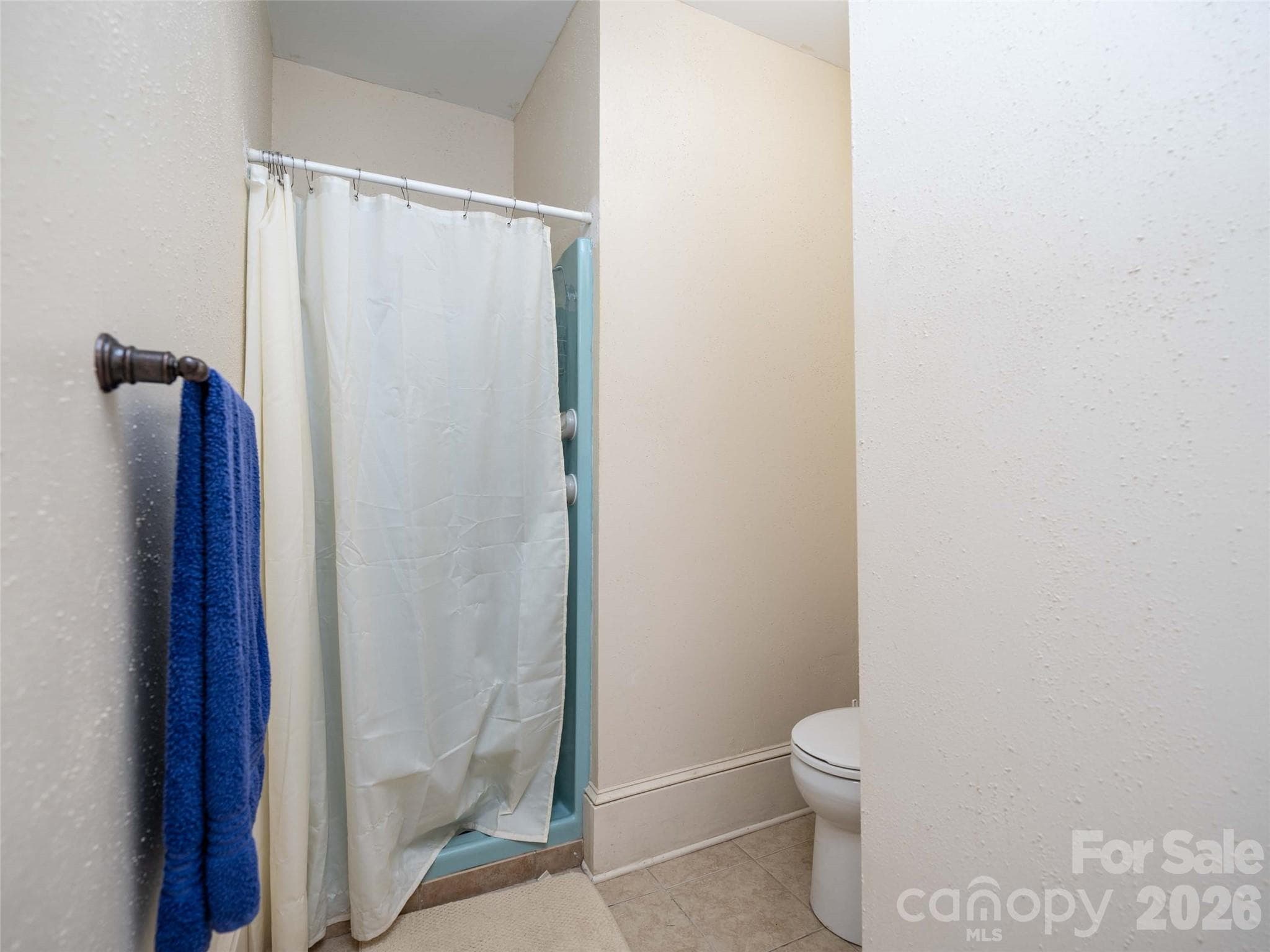 Single Family Residence at 103 E King Street, East Flat Rock, photo 21 of 34
