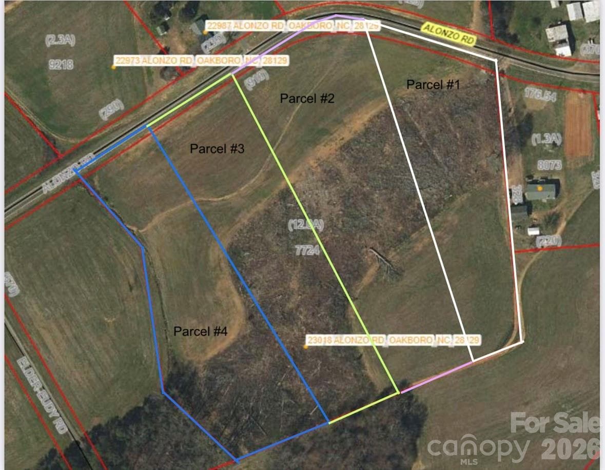 Acreage at 000 Alonzo Road, Oakboro, photo 3 of 9