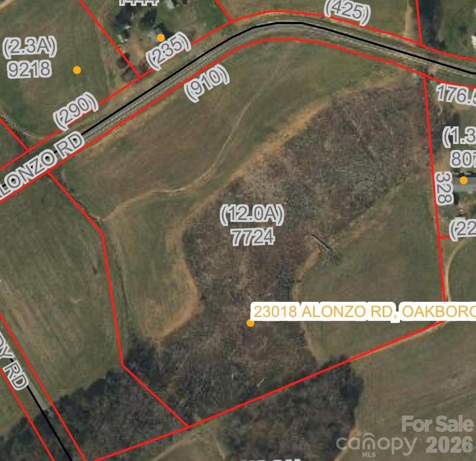 Acreage at 000 Alonzo Road, Oakboro, photo 4 of 9