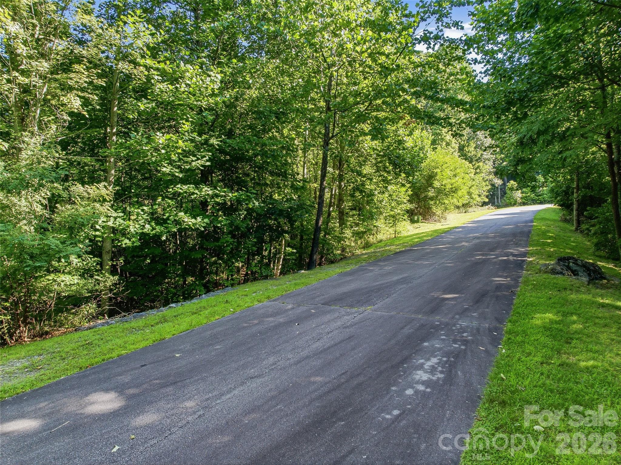 Lot at 0000 Red Bud Lane, Laurel Park, photo 2 of 22