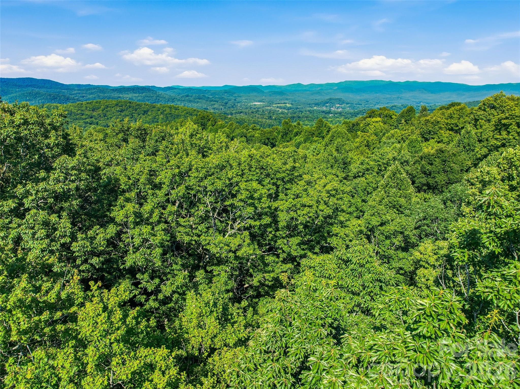 Lot at 0000 Red Bud Lane, Laurel Park, photo 14 of 22