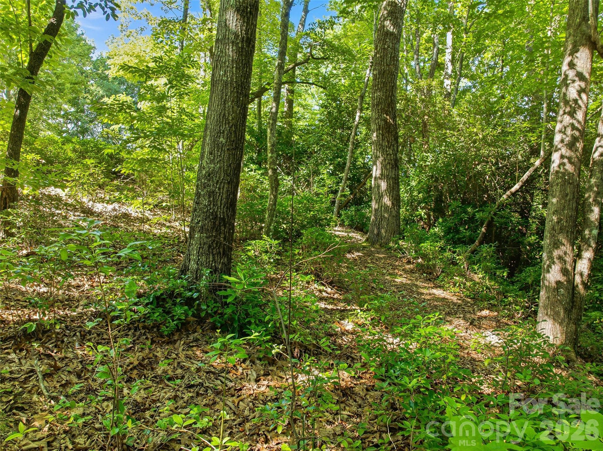 0000 Red Bud Lane