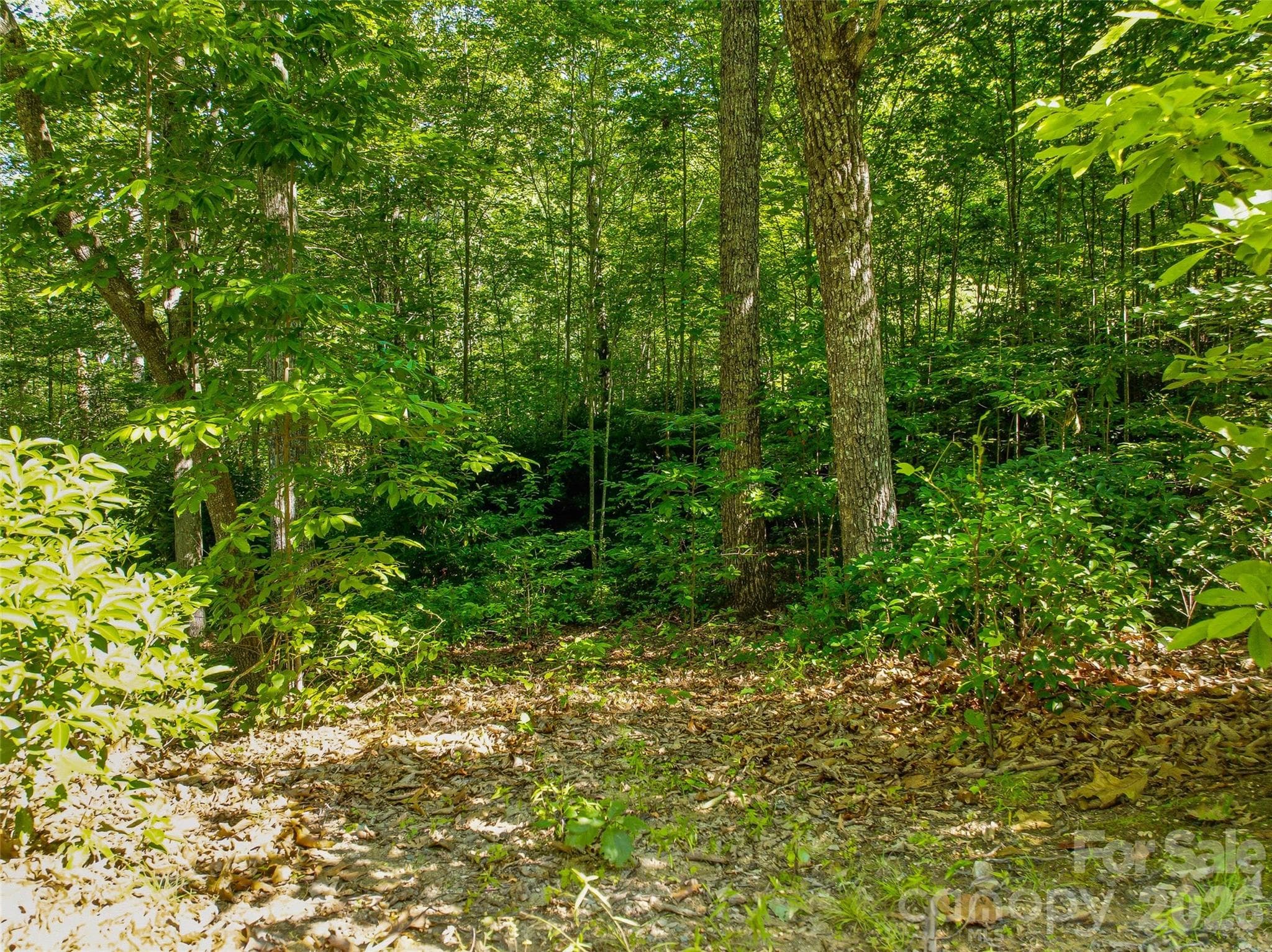 Lot at 0000 Red Bud Lane, Laurel Park, photo 4 of 22