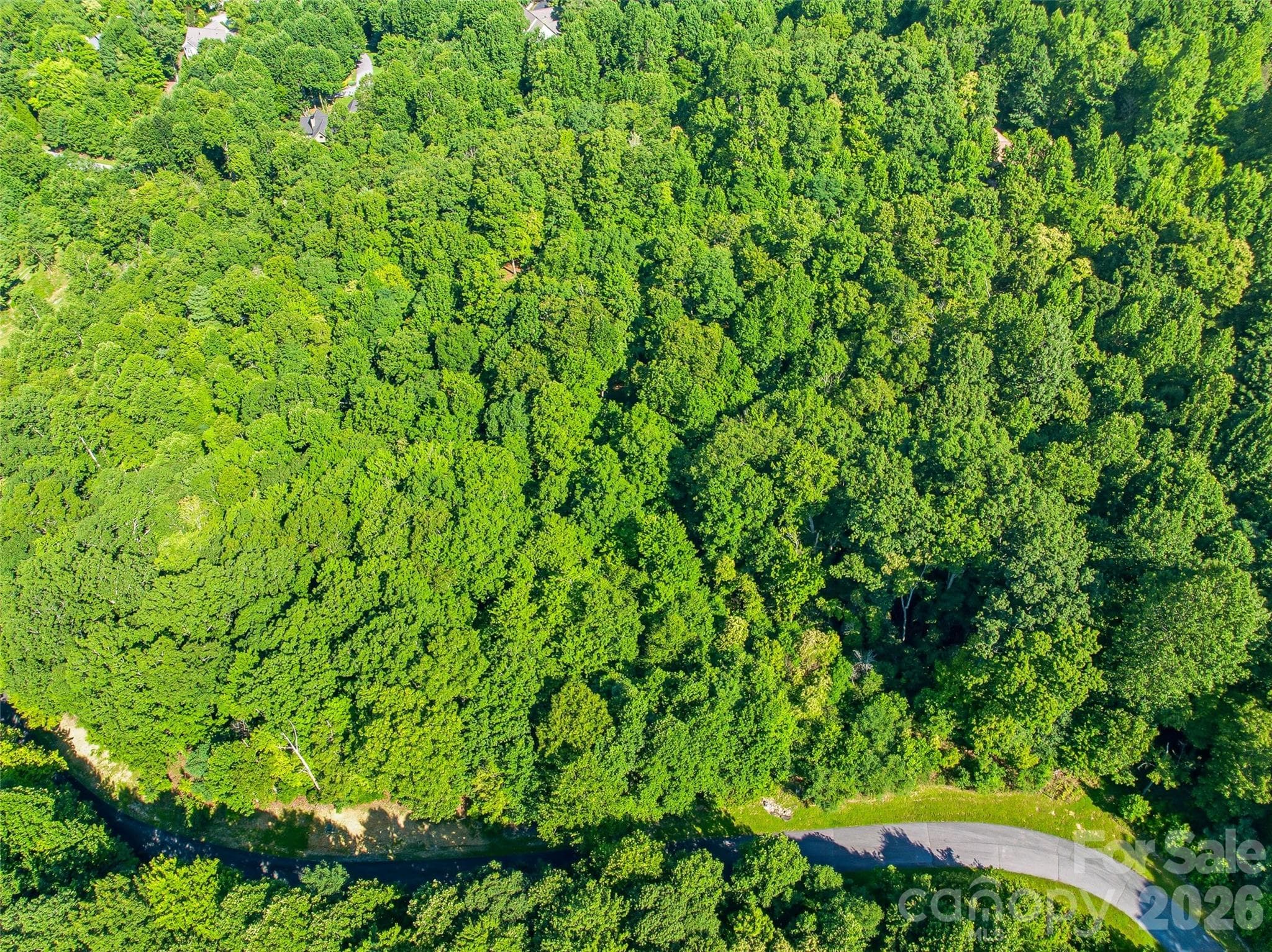 Lot at 0000 Red Bud Lane, Laurel Park, photo 11 of 22
