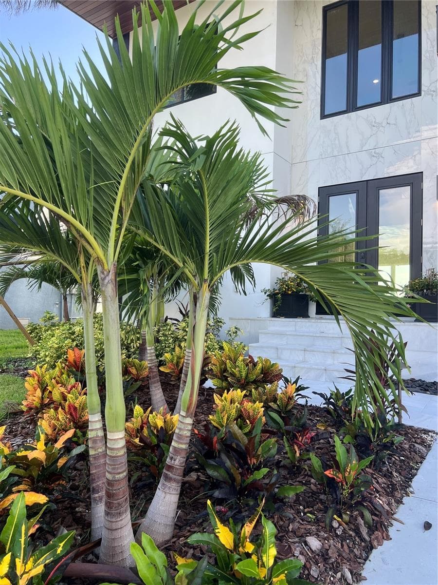 Single Family Residence at 3420 CHANNELSIDE CT, SAFETY HARBOR, photo 94 of 125
