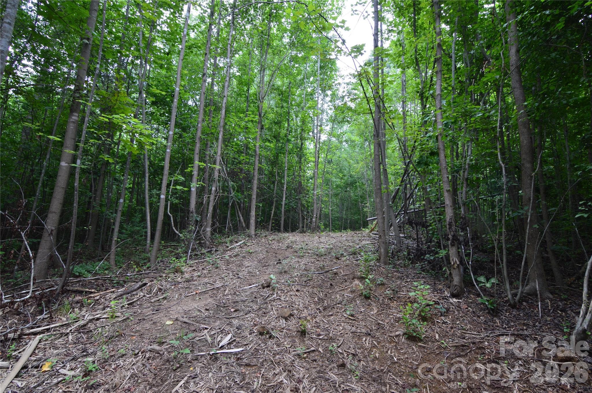 ATV Path around property - 607 Anthony Grove Road, Crouse