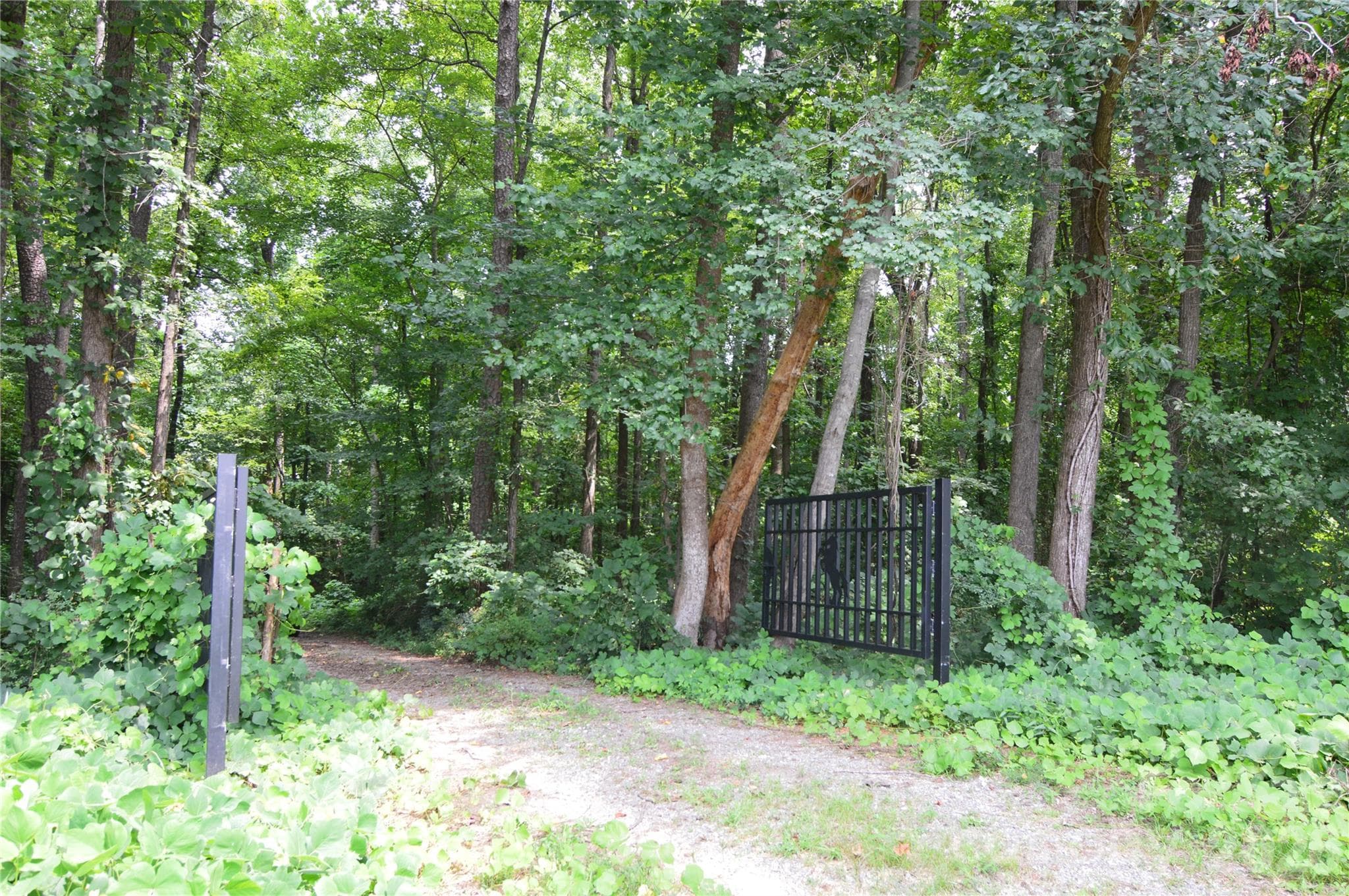 Entrance Drive - 607 Anthony Grove Road, Crouse