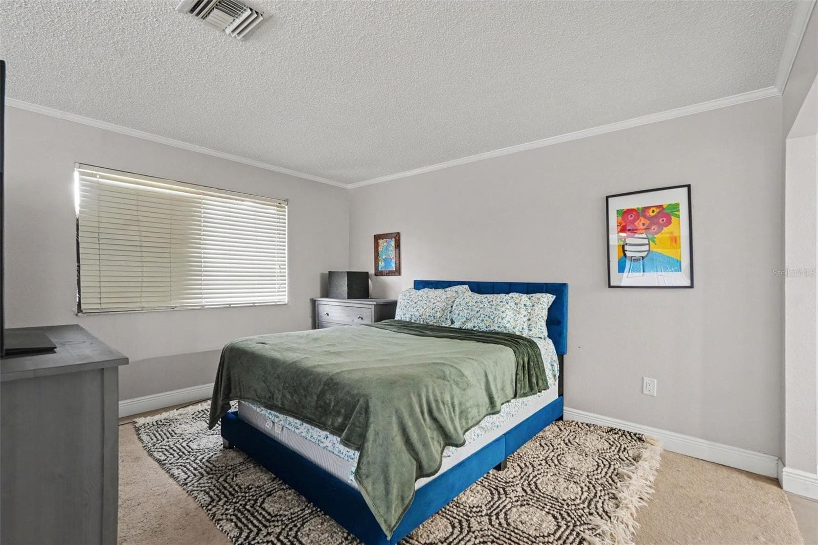 Primary bedroom 2nd floor - 736 SANDY CREEK DR, BRANDON