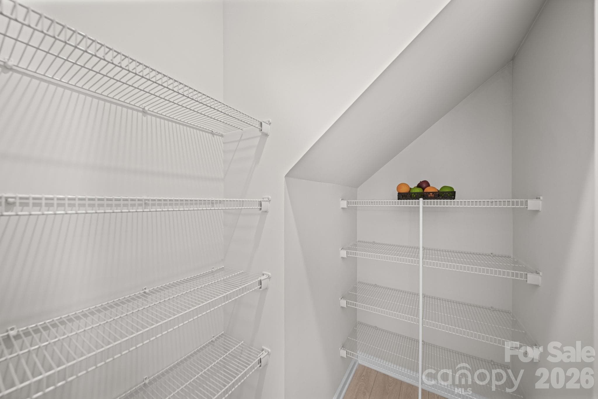 pantry - 1131 Bandon Drive, Waxhaw