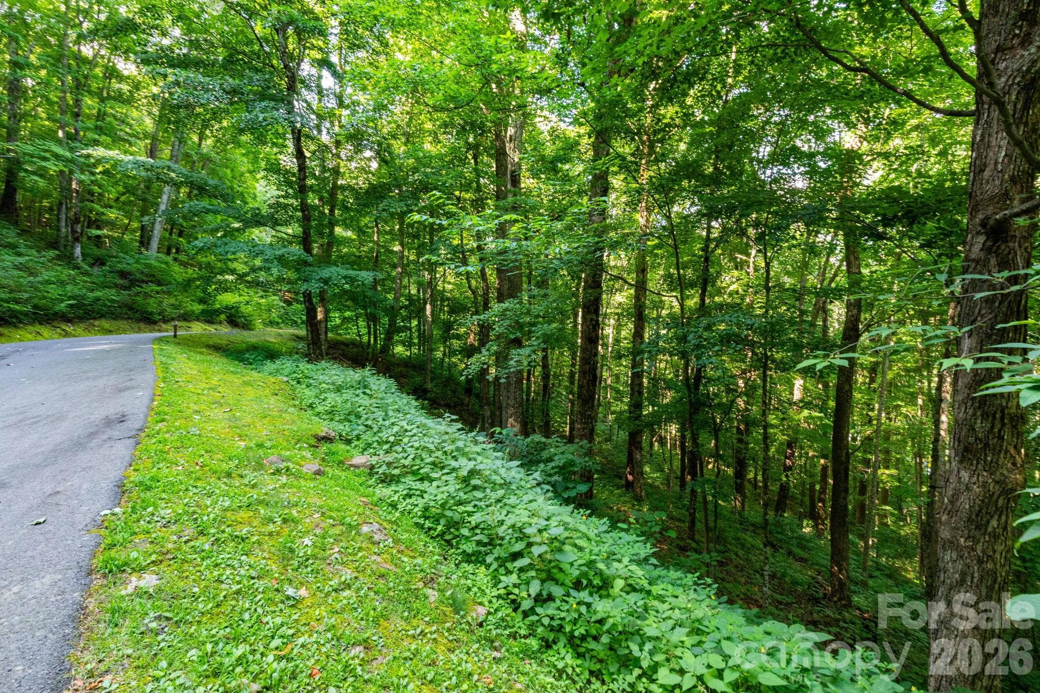 Lot 25 Finlaystone Trace