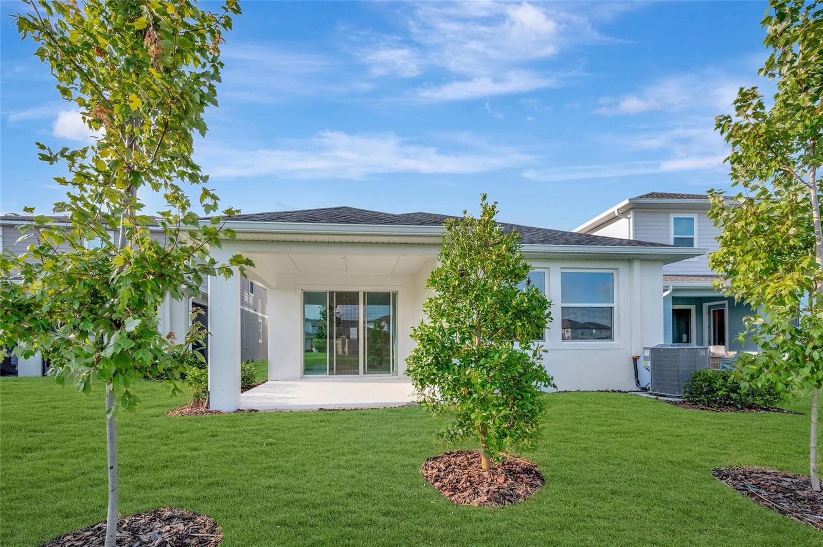 Rear Exterior - 31051 PENDLETON LANDING CIR, WESLEY CHAPEL
