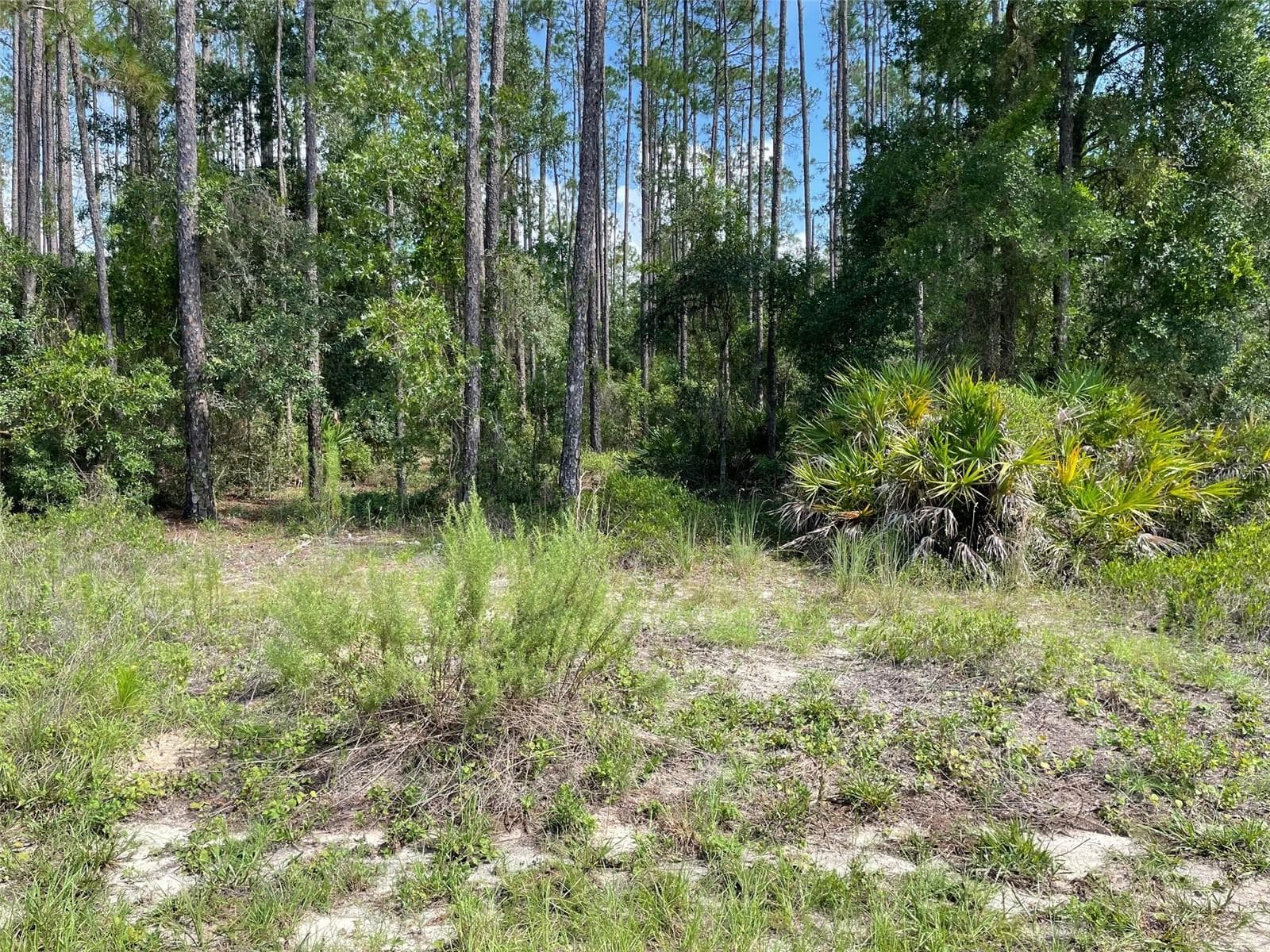 LOT 23 SW TIGER LAKE BLVD W