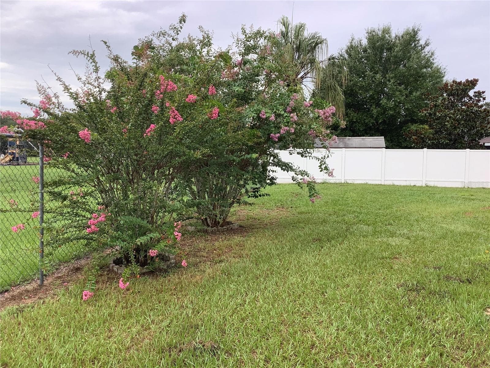 Backyard right side - 665 STEVELYNN CIR, WINTER GARDEN