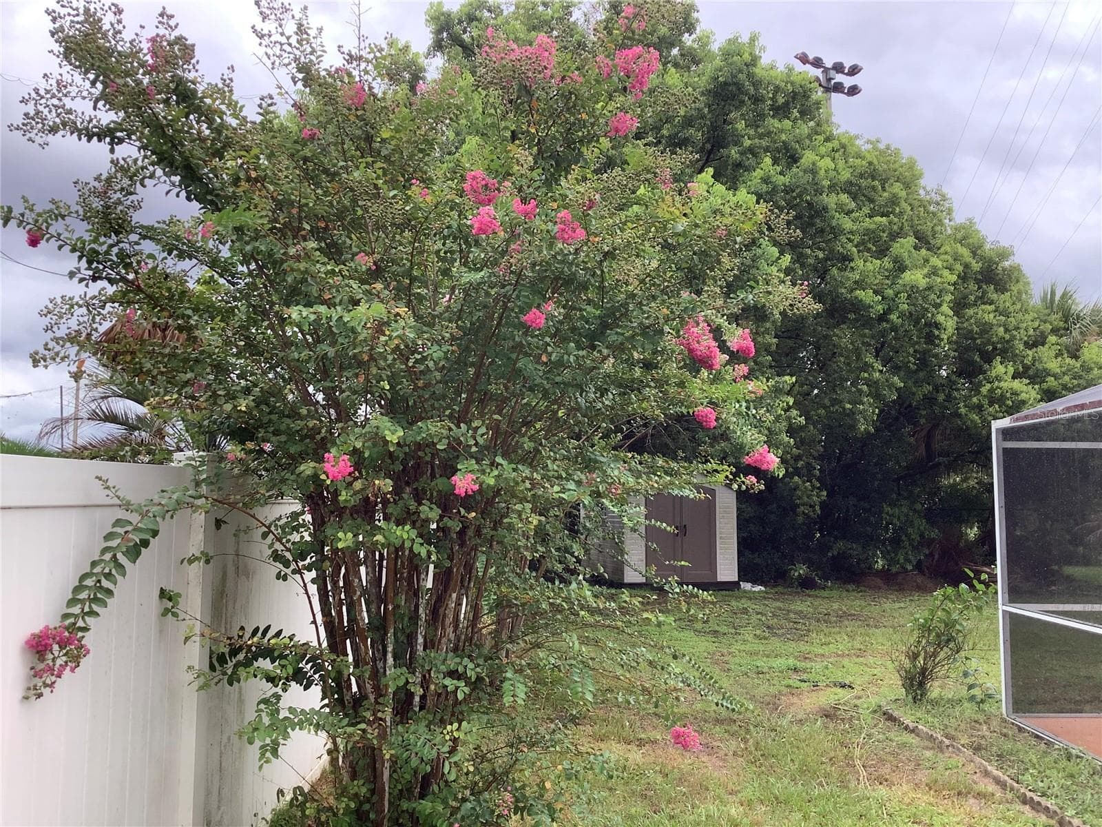 Backyard left side - 665 STEVELYNN CIR, WINTER GARDEN