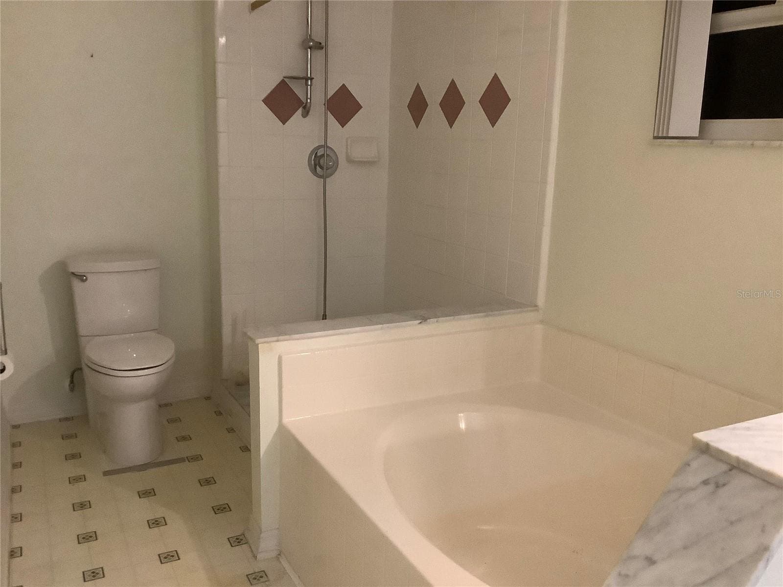 Primary bathroom with Primary bath - Separate shower and garden tub bathtub - 665 STEVELYNN CIR, WINTER GARDEN