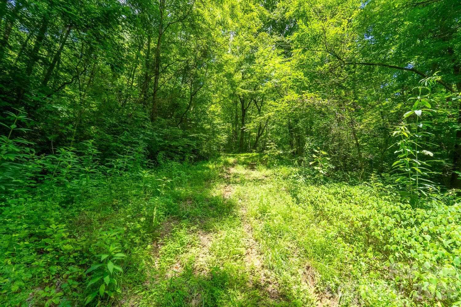 TBD Indian Flats Drive