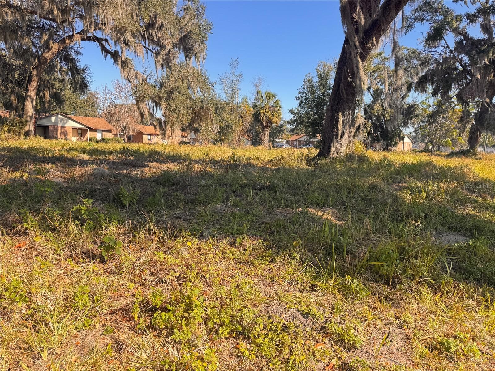 Land at 3814 E C 478, WEBSTER, photo 4 of 4