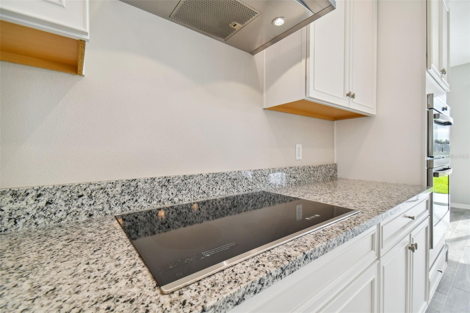 Single Family Residence at 38190 SHALE STONE CT, ZEPHYRHILLS, photo 16 of 76