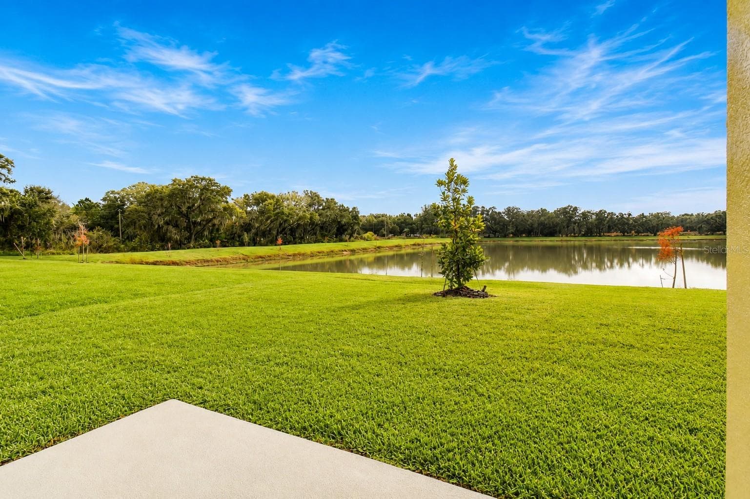 Single Family Residence at 38190 SHALE STONE CT, ZEPHYRHILLS, photo 62 of 76